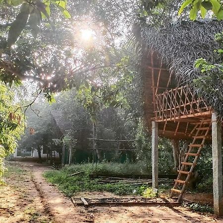 Art Forest Ξενοδοχείο Όρβιλ Εξωτερικό φωτογραφία