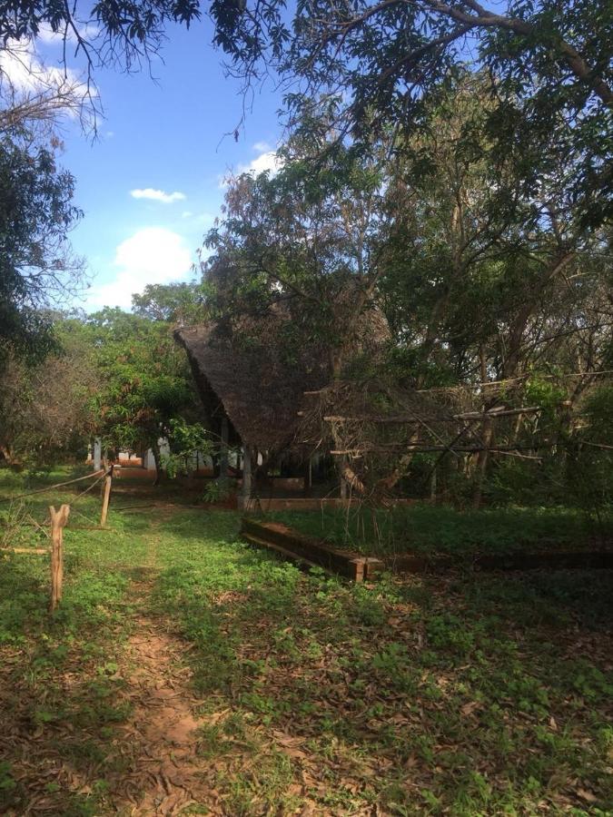 Art Forest Ξενοδοχείο Όρβιλ Εξωτερικό φωτογραφία