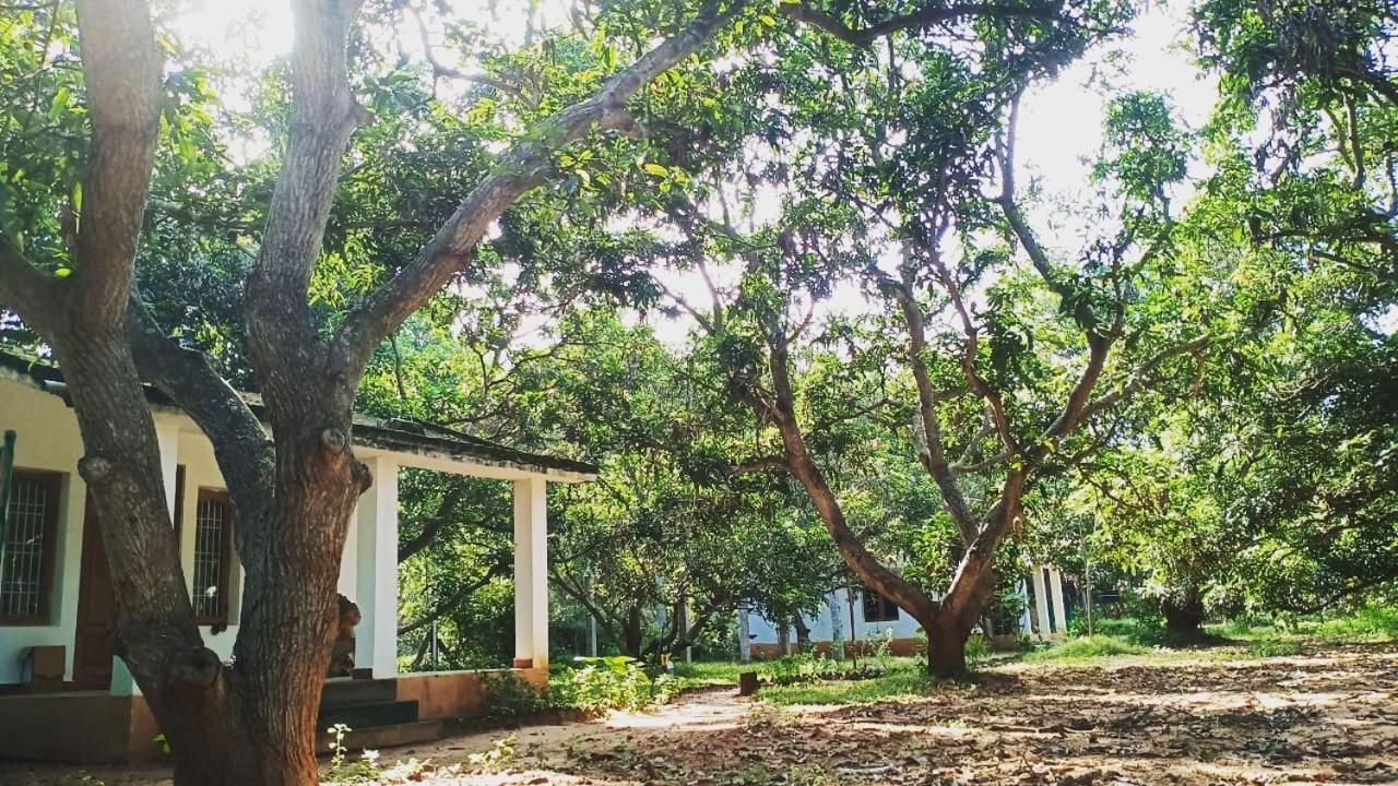 Art Forest Ξενοδοχείο Όρβιλ Εξωτερικό φωτογραφία