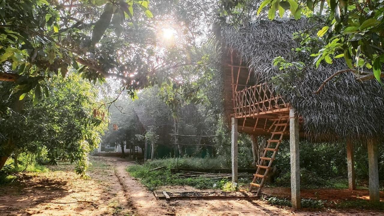 Art Forest Ξενοδοχείο Όρβιλ Εξωτερικό φωτογραφία